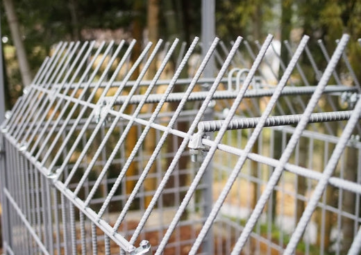 Outstanding cospa and capture efficiency! ! Fare Asahi Shiki Enclosure Trap