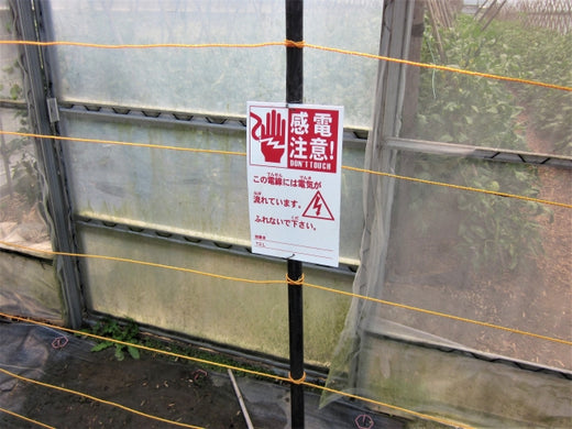 Check before installation! Correct knowledge to prevent accidents with electric fences