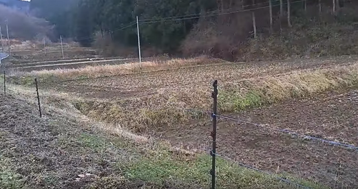 Electric fences using subsidies to prevent wildlife damage, more than 200 locations nationwide do not work