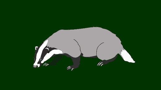 About badger characteristics and countermeasures