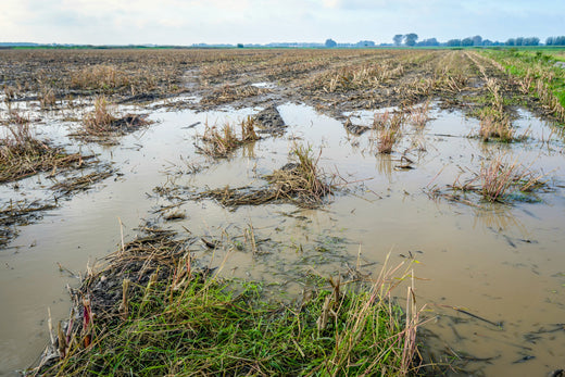 Types of agricultural damage