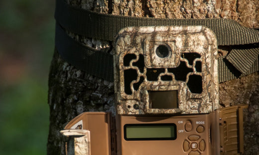 Awesome. trail camera