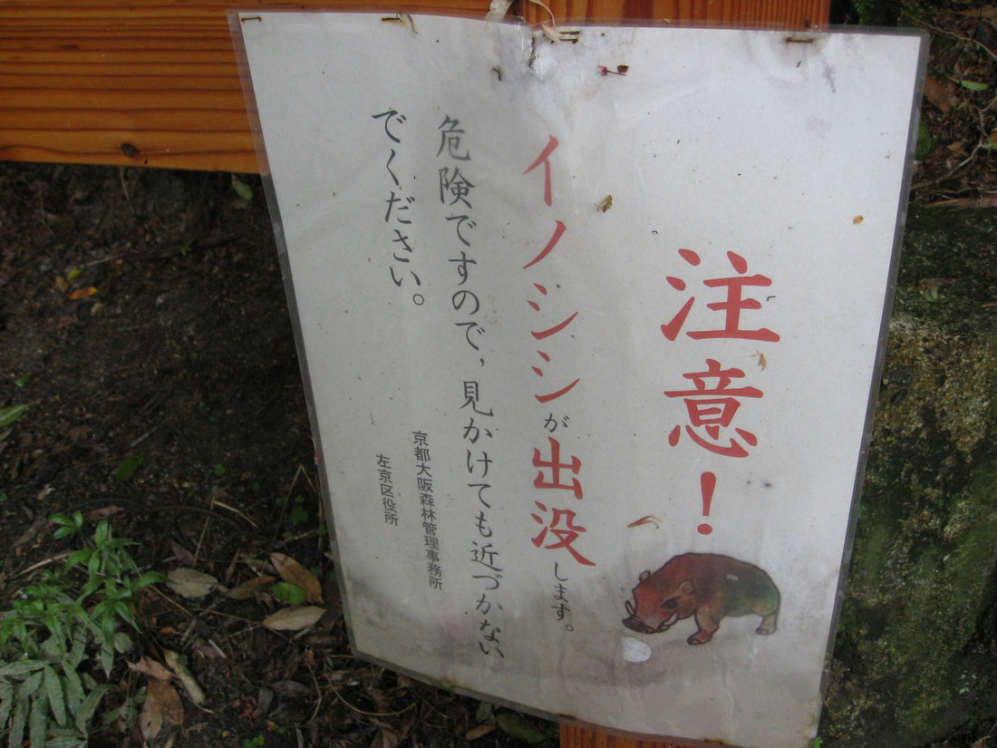 名所における鳥獣被害の現状