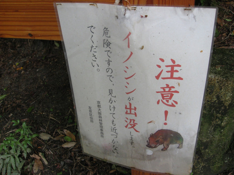 Current Status of Wildlife Damage at Famous Sites