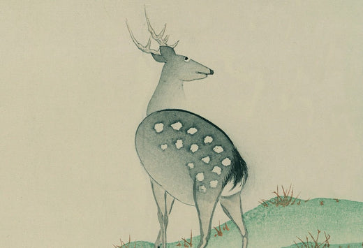 Capturing deer with leg traps