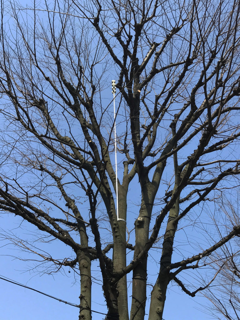 ムクドリ・カラスのねぐら対策 BBスイーパー(ハンディタイプ/設置タイプ)