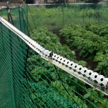 Barbed Iron Plate II (Narrow Type) Stainless Steel