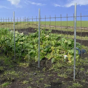 General-purpose pipes for anti-animal fences and nets