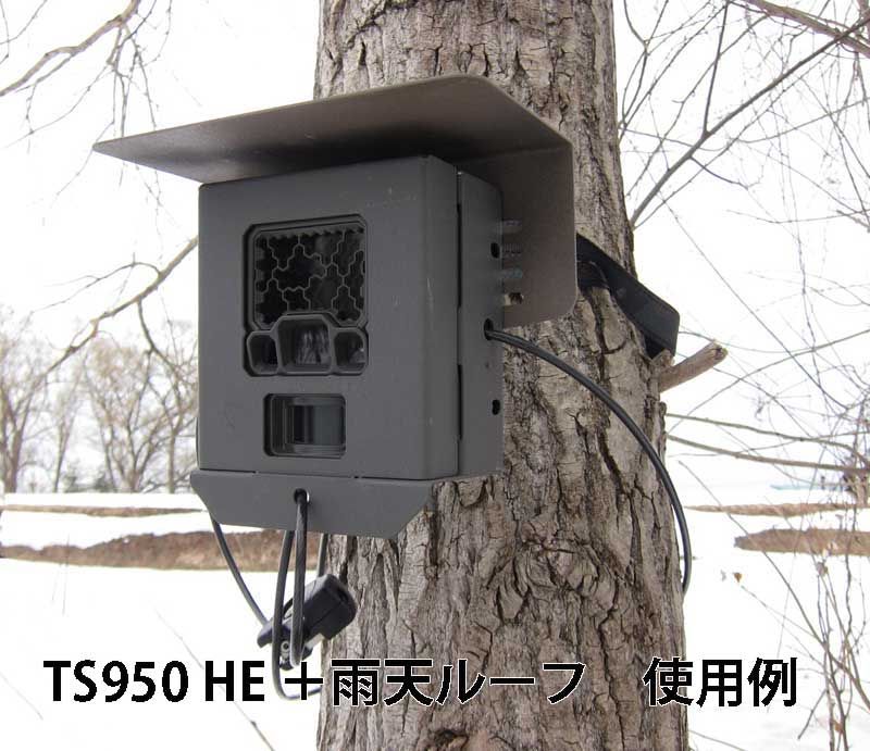 Rain roof for trail camera security box