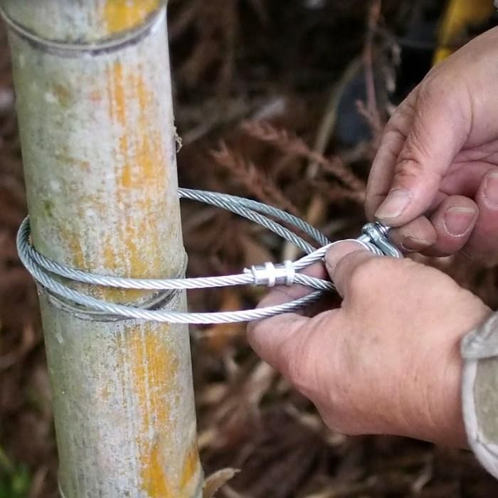 SUS wire rope 10m 7*7 for leg tie trap