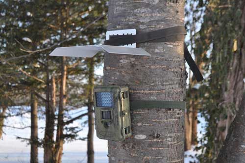 Rain roof for trail cameras