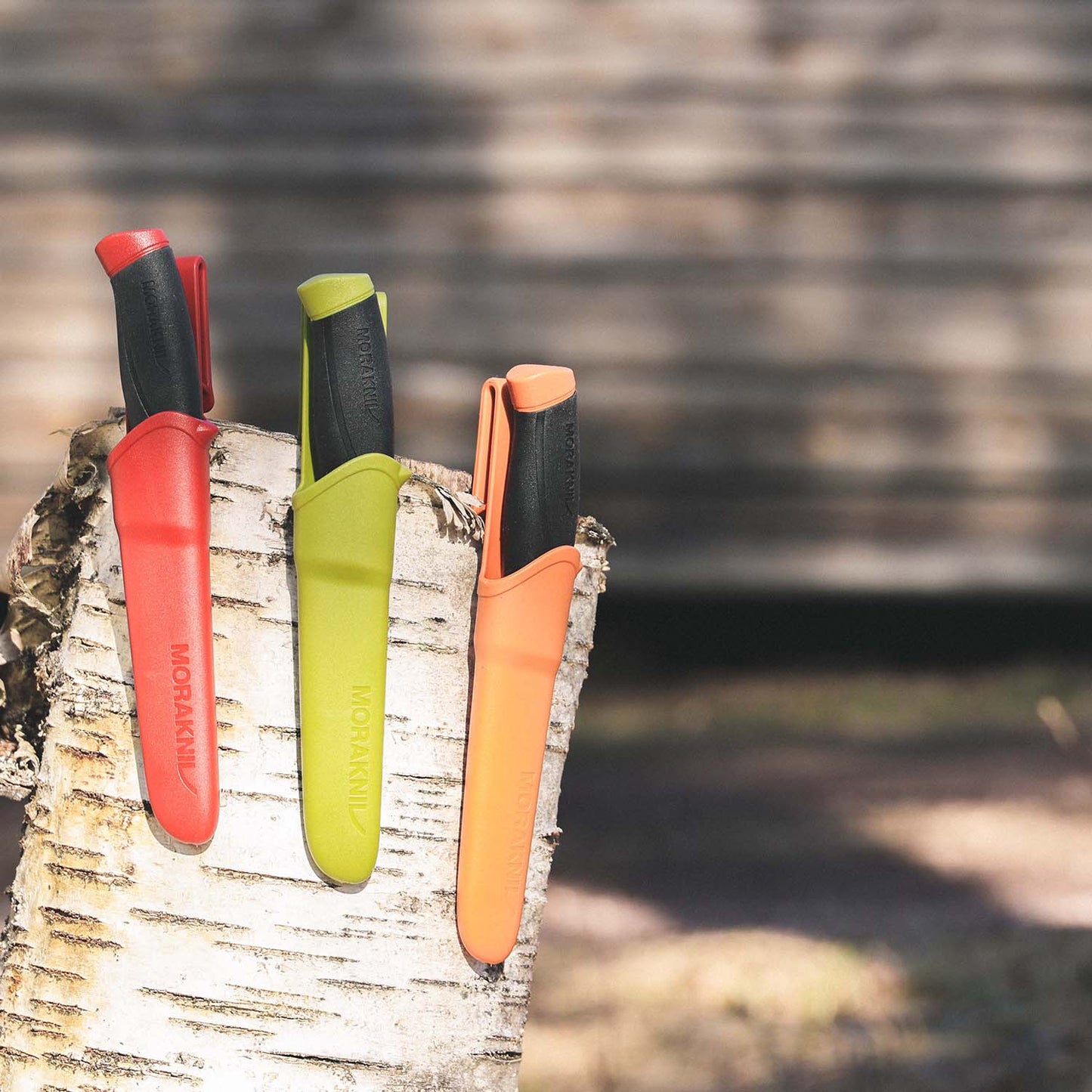 モーラナイフ コンパニオン (S)ブラック / MORAKNIV COMPANION (S)