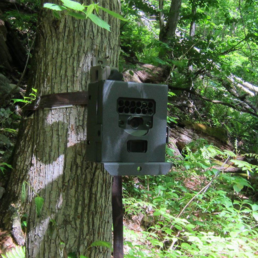 Reconyx HS2X automatic shooting camera (sensor camera)