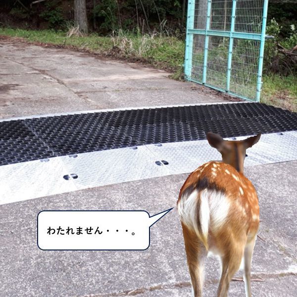 防獣 猪 鹿  害獣侵入防止装置 わたれませんLIGHT 本体