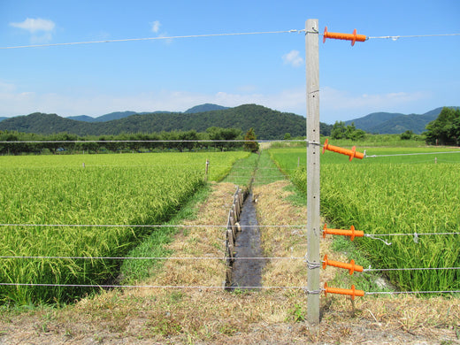 電気柵の設置方法とは？害獣対策のポイントと注意点をご紹介