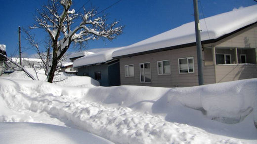 Use a forklift to remove snow