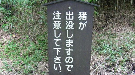 イノシシ対策　防除・駆除に電気柵　くくり罠　箱罠　忌避剤　威嚇音