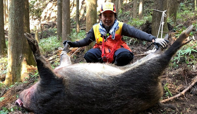 Catch a wild boar weighing over 200 kg! Interview with Takayuki Yoshizawa, a hunter who killed a giant wild boar