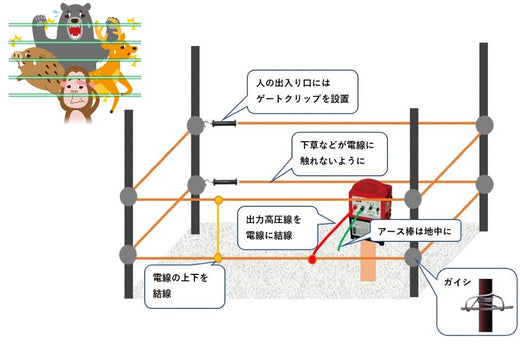 Explanation of the effects of electric fences, types of power sources, and the merits of solar power sources