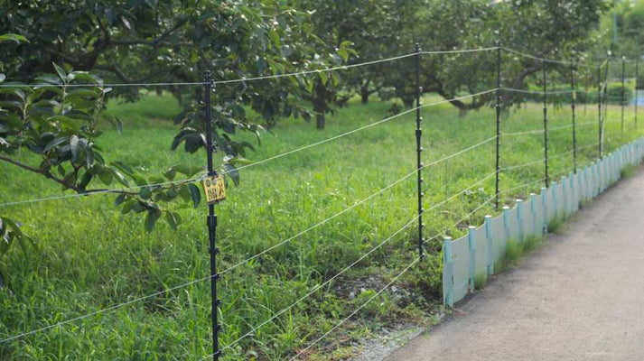 Points for product selection and installation that you should know before purchasing an electric fence for the first time
