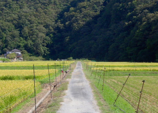 Explain how to install an electric fence! Introducing advance preparations and points for each animal