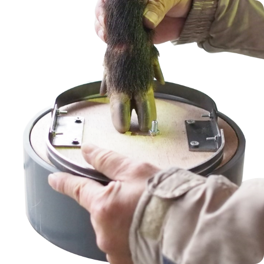 Tying rap Product List