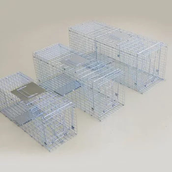 Folding type box trap [single door]