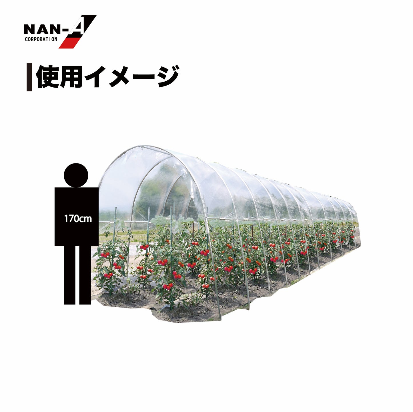 4984665309684 雨よけハウス　2畝用(2梱包） AM2294型（W:2200 × D:9470 × T:2190mm）