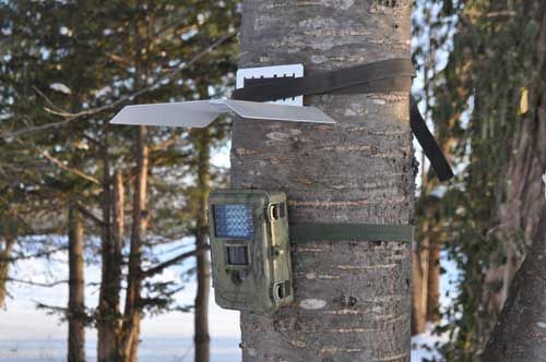 Rain roof for trail cameras