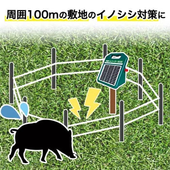 Electric Fence Bojukun Solar 1500 Easy 100m Set (2 Tiers) Next Agri