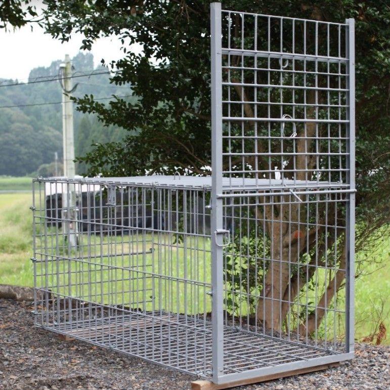 box trap for boar