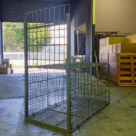 Fare Asahishiki box trap medium size [single door] wire mesh specification